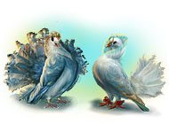 Полеты фантазии. Два голубя. Коллекционное издание