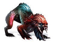 Роман тьмы. Проклятье Синей Бороды. Коллекционное издание