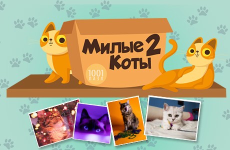 1001 Пазл. Милые коты 2